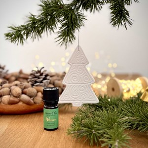 Cadeau d'assiette sapin de Noël thés bio