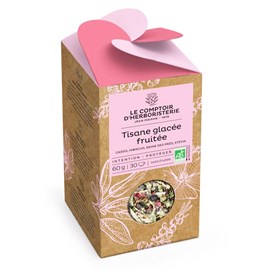 Tisane glacée fruitée bio
