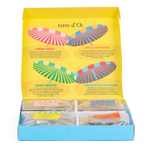 Coffret thés glacés bio Farniente 28 sachets XL terre d'Oc