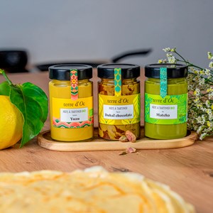 Pâte à tartiner bio saveur thé vert matcha 215 g terre d'Oc