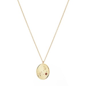 Médaille signe astrologique Capricorne