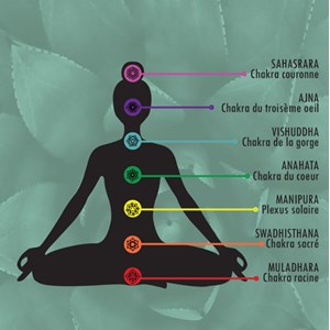 Collier argent 7 chakras