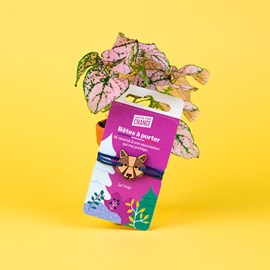 Bracelet engagé en bois loup