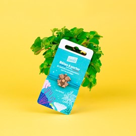 Bracelet engagé en bois tortue