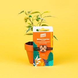 Bracelet engagé en bois ours