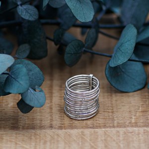 Bague semainier double argent 925 55