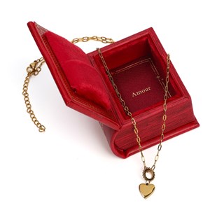 Livre-écrin cadeau avec collier symbolique en acier et strass Amour
