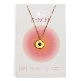 Collier du zodiaque acier doré et strass en verre collection Aura