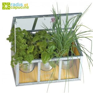 Châssis plantation 3 aromatiques bio