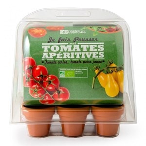 Serre en plastique semis de tomates bio