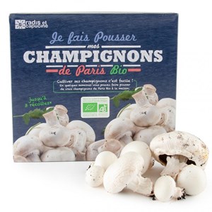Kit de culture champignons de paris bio