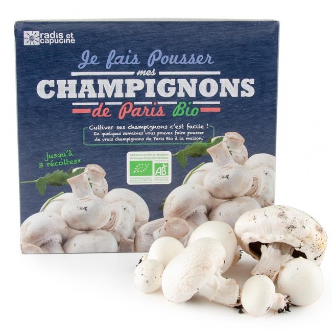 Kit de culture champignons de paris bio Nature & Découvertes