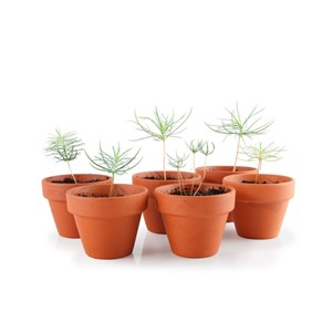 Kit pour une activité de fin d'année : 2