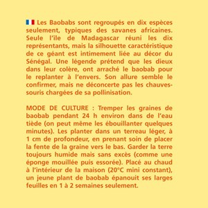 Sachet de graines de baobab du sénégal