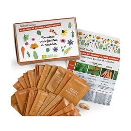 Potager d'une classe - 24 graines de lég