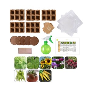 Potager d'une classe - 50 sachets de gra