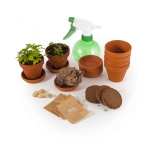 Kit d'activité : je plante 5 plantes ext