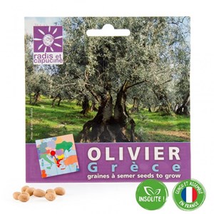 Sachet de graines d'olivier