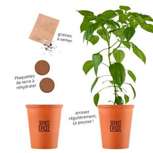 Cadeau de soirée soirée épicée piment