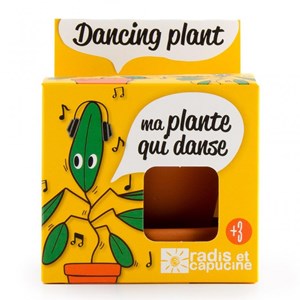 Kit de plantation la plante qui danse