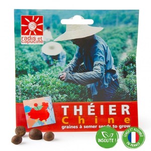 Sachet de graines de théier de chine