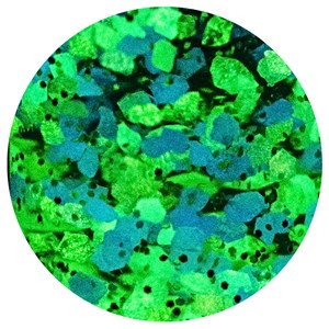 Bouteille sensorielle phosphorescente