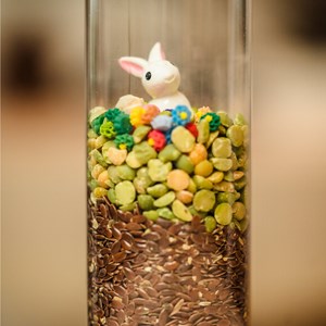 Bouteille sensorielle lapin