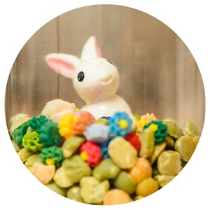 Bouteille sensorielle lapin