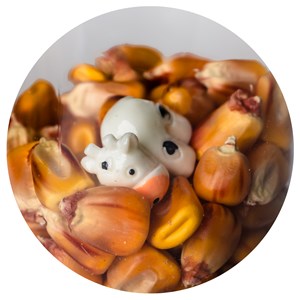 Bouteille sensorielle vache