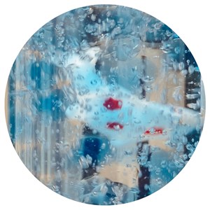 Bouteille sensorielle poisson