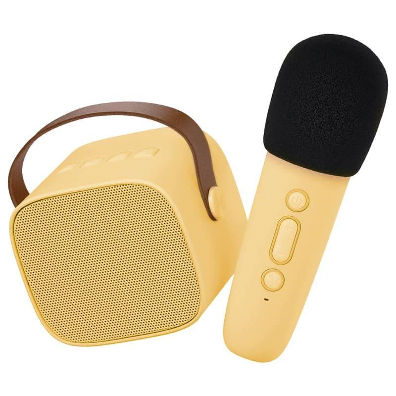 Lalarma karaoke enceinte bluetooth jau
