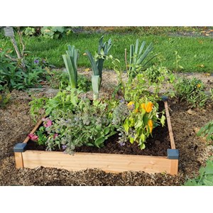Carré potager bois douglas 82x82x14