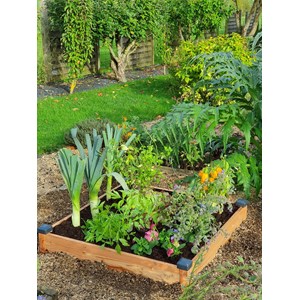 Carré potager bois douglas 82x82x14