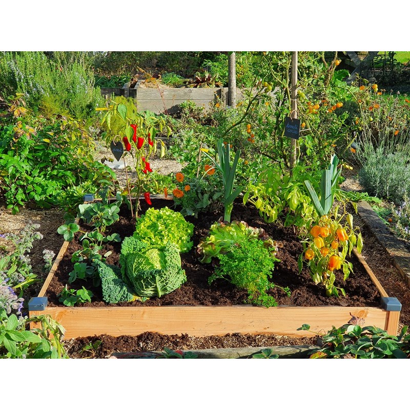 Carré potager bois douglas 126x126x14