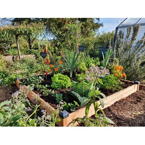 Carré potager bois douglas 126x126x14