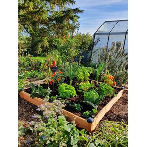 Carré potager bois douglas 126x126x14