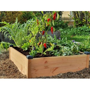 Carré potager bois douglas 82x82x26