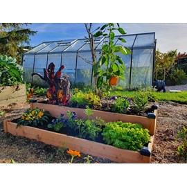 Carré potager bois douglas 126x66x26