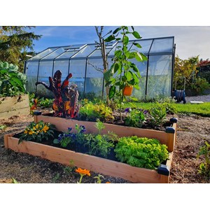Carré potager bois douglas 126x66x26