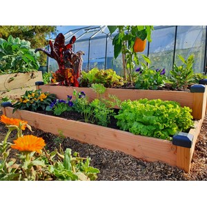 Carré potager bois douglas 126x66x26