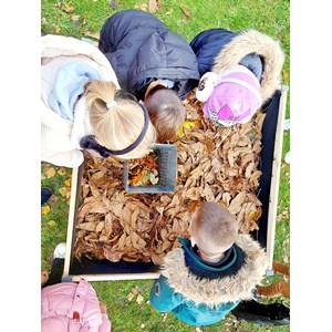 Carré potager bois l120 x l115 x h40