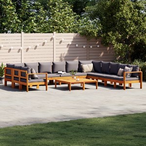 Maison exclusive - salon de jardin avec coussins 9 pcs bois massif d'acacia