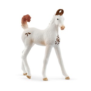 14896 figurine poulain marwari