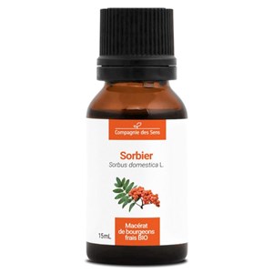 Sorbier bio - 15ml (sorbus domestica) – macérat concentré de bourgeons frais