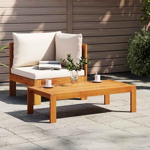 Maison exclusive - salon de jardin avec coussins 2 pcs bois massif acacia