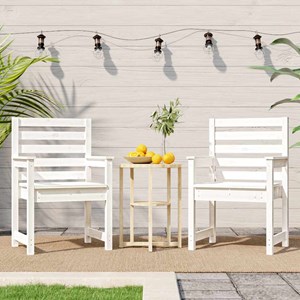 Maison exclusive - chaises de jardin lot de 2 blanc 60x48x91 cm bois massif de p