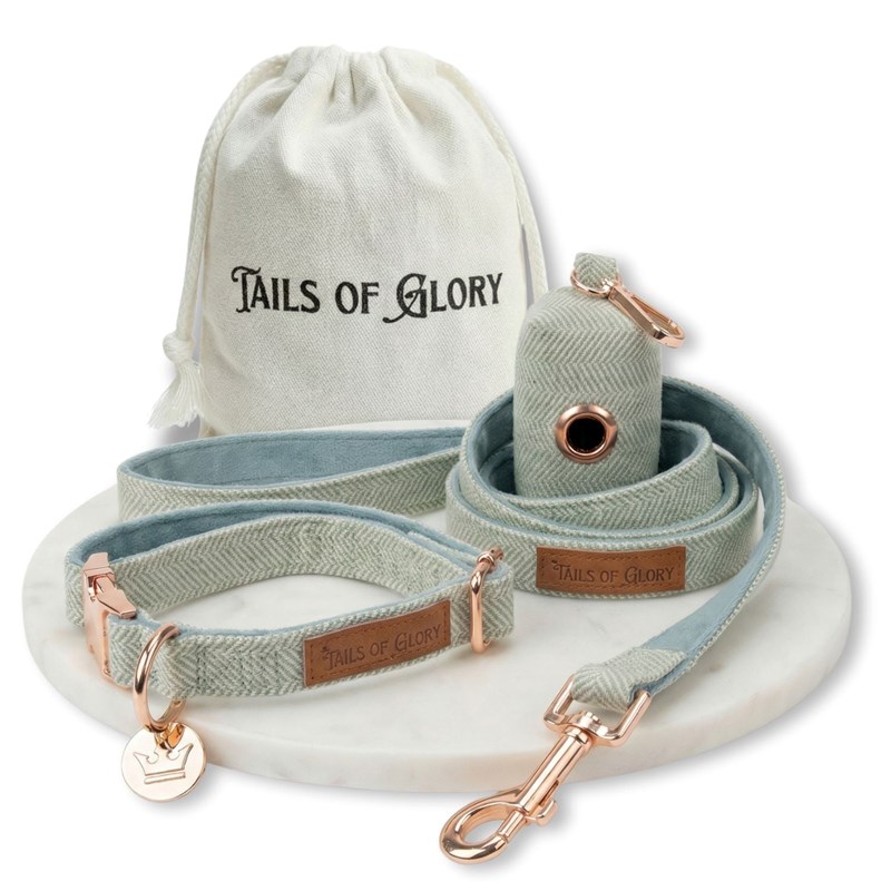 Set pour chien en tweed vert: collier réglable, laisse, porte-sacs taille s