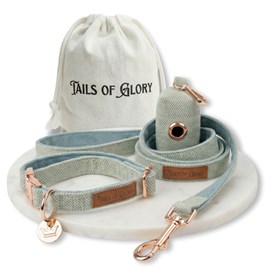 Set pour chien en tweed vert: collier réglable, laisse, porte-sacs taille m
