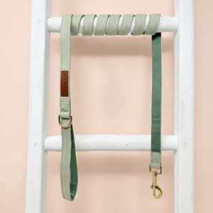 Set pour chien en tweed vert: collier réglable, laisse, porte-sacs taille m