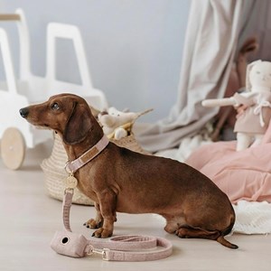 Set pour chien en tweed rose: collier réglable, laisse, porte-sacs taille s